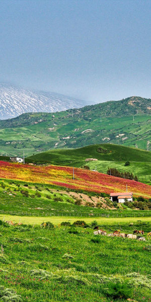 landscape view near Troina, Sicily in Italy