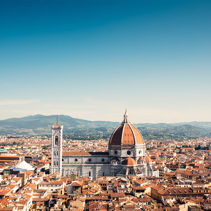 Florence Panorama